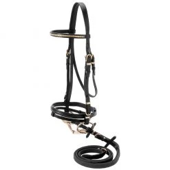 Tough-1 Flash Bridle with Brass Browband, 20-9960-2-0