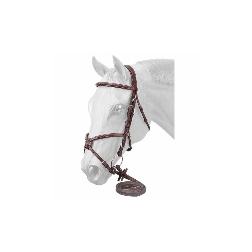 Tough-1 Premium Padded Fancy Stitched Raised Figure Eight English Bridle, Brown, 22-6578-7-0