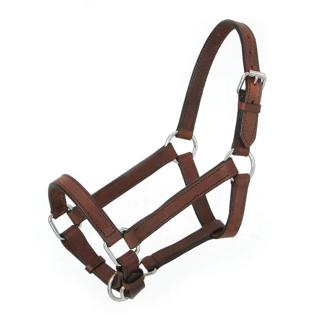 Tough-1 Miniature Leather Halter, Brown, Large, 44-701-7-0