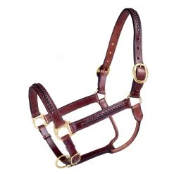 Tough-1 Braided Leather Halter, Horse, Brown, 44-8100-7-0